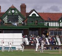 Cricket