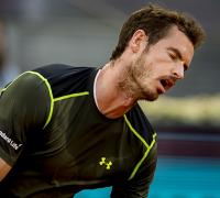 Andy Murray backed by Roger Federer after pulling out of Italian Open